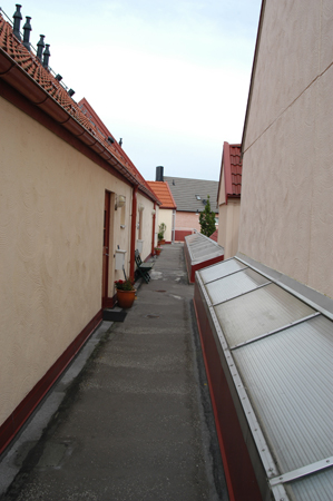 DSC_0042