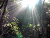DSCN1358