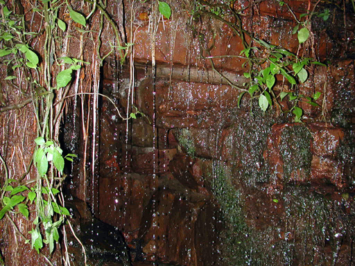 DSCN1885