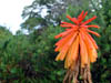 DSCN1776