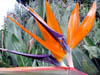 DSCN1782
