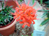 DSCN1828