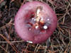 DSCN1855