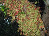 DSCN1857