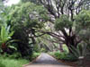DSCN1883