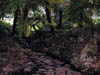 DSCN1884