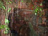 DSCN1885