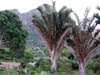 DSCN1887