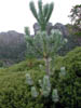 DSCN18889