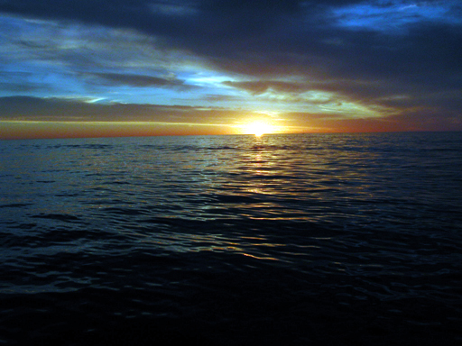 DSCN1975