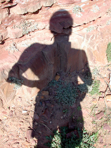 DSCN2008