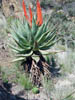 DSCN1990
