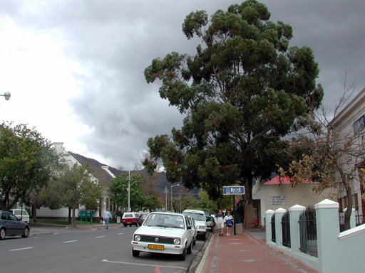 DSCN2066