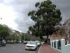 DSCN2066