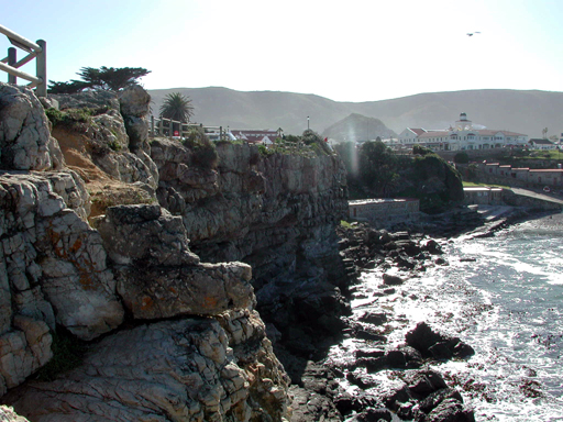 Hermanus