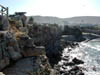 Hermanus