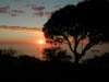 DSCN2205