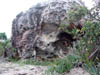 DSCN2367