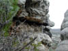DSCN2369