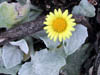 DSCN2417