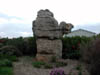 DSCN2419