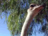 DSCN2678