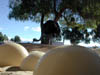 DSCN2683