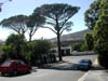 DSCN0556
