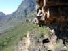 DSCN0572