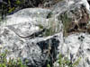DSCN0593