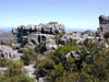 DSCN0600