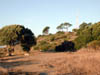 DSCN0639