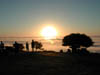 DSCN0644