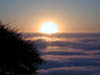 DSCN0651