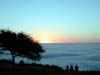DSCN0662