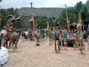 DSCN0696