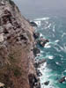 DSCN0706