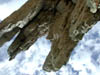 DSCN0714