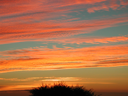 Sunset23