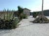DSCN0986