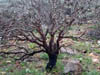 DSCN1632