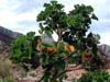 DSCN1636