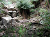 DSCN1644