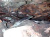 DSCN1715
