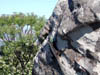 DSCN1740