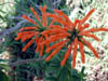 DSCN1742