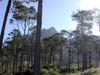 DSCN1750