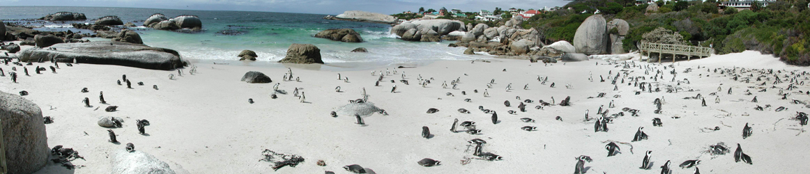 Boulder beach