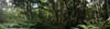 Garden of Eden